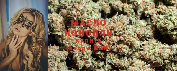 МДПВ Елабуга